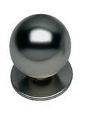 INTERSTEEL KNOP BOLROND NIKKEL MAT