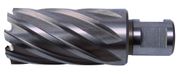 LABOR KERNBOOR 20MM X 30MM HSS
