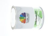 GLOBAL PAINT GLOBAL PAINT RANDSEALER 1LTR
