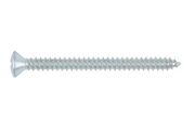 WURTH PLAATSCHROEF DIN7983 C PH2 4,2MM