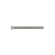 AXA RVS BOUTEN M6 X 70MM T.B.V. VH. SCHILD