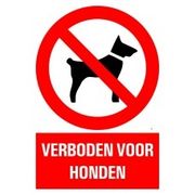 PICKUP INTERNATIONAL BORD COMBI 23X33CM VERBODEN VOOR HONDEN