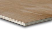 MULTIPLEX 1220MM X 2440MM X 25MM