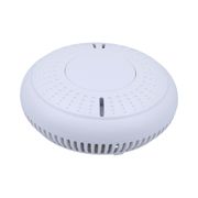  ROOKMELDER SAND-ALONE OPTISCH