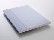 KNAUF GIPSPLAAT DIAMONDBOARD 12.5X600X2600MM