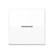 JUNG CENTRAALPLAAT MET VENSTER V-LAMP AS591KOE