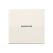 JUNG CENTRAALPLAAT MET VENSTER V.LAMP AS591K05