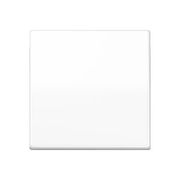 JUNG CENTRAALPLAAT WIPSCHAKELAAR AS591WW