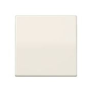 JUNG CENTRAALPLAAT WIPSCHAKELAAR AS591