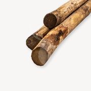  KASTANJE PAAL 14/16 X 300CM GEPUNT EN