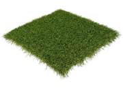  KUNSTGRAS GORINCHEM 50