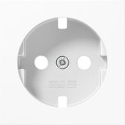 JUNG WCD RA CENTR.PLAAT A1520 PLWW