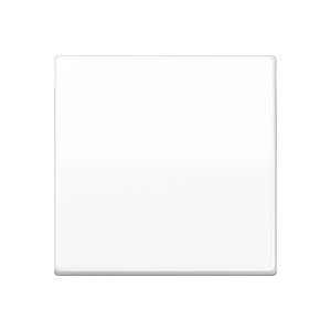 CENTRAALPLAAT WIPSCHAKELAAR AS591WW