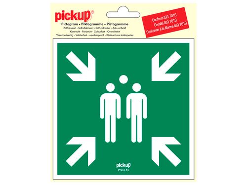 PICKUP INTERNATIONAL PICTOGRAM VINYL 15X15 VERZAMELPLAATS