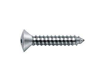 WURTH PLAATSCHROEF DIN7983 C PH2 RVS A2 3,9MM X 25MM