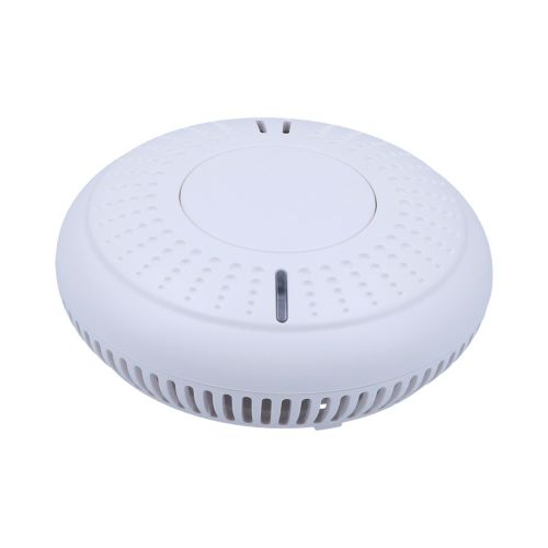  ROOKMELDER SAND-ALONE OPTISCH