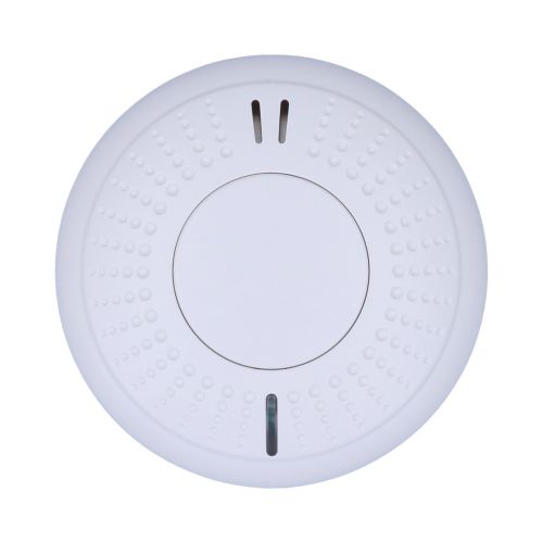  ROOKMELDER SAND-ALONE OPTISCH