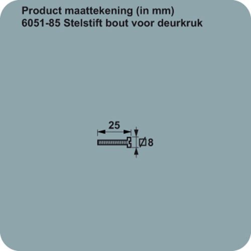 AXA STELSCHROEF VOOR DEURKRUK M5 X 25MM