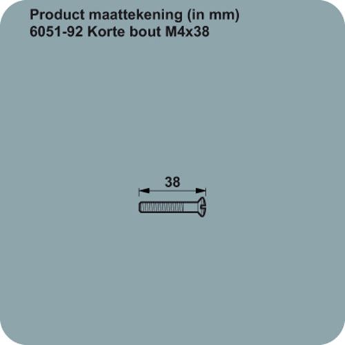 AXA ROZETBOUT M4 X 38MM