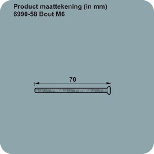 AXA RVS BOUTEN M6 X 70MM T.B.V. VH. SCHILD