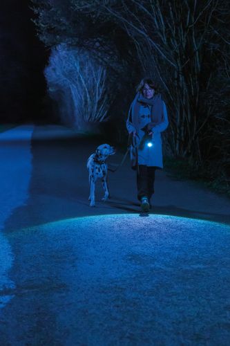 ABUS ZAKLAMP TL-530 TORCH