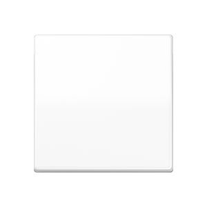 JUNG CENTRAALPLAAT BASISUNIT AS1561.07 WW